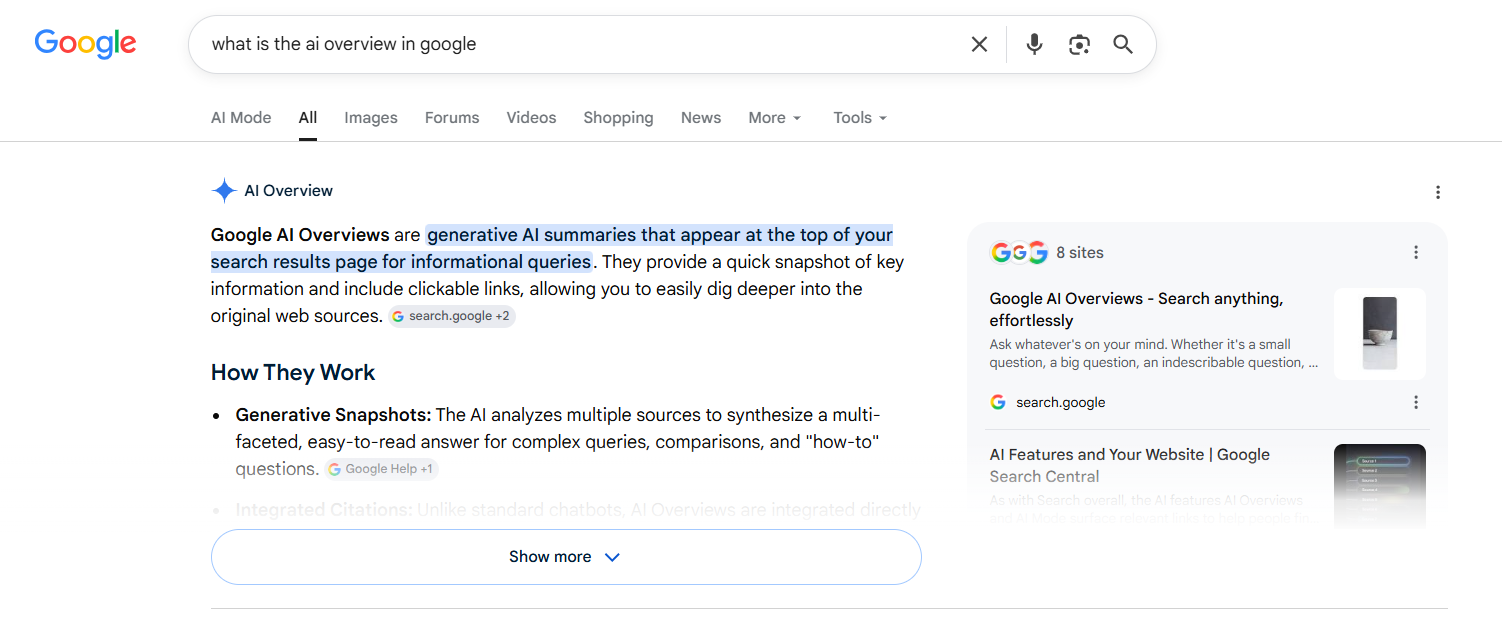 que es el ai overview en google